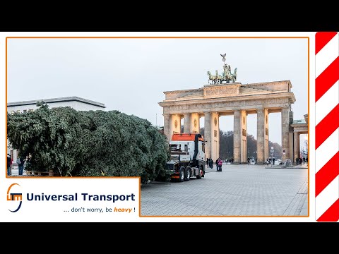 A christmas tree for Berlin - Universal Transport